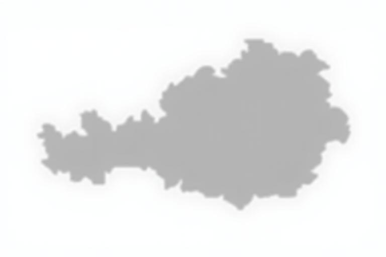 Illustrative map highlighting Austria as the coverage area for Austria Travel Insights